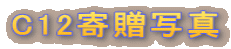 C12񑡎ʐ^